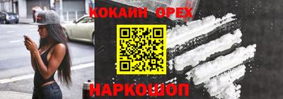дмт Аргун