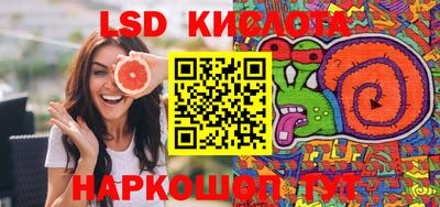дмт Аргун