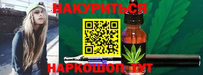 дмт Аргун