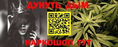 дмт Аргун
