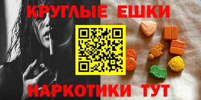 дмт Аргун