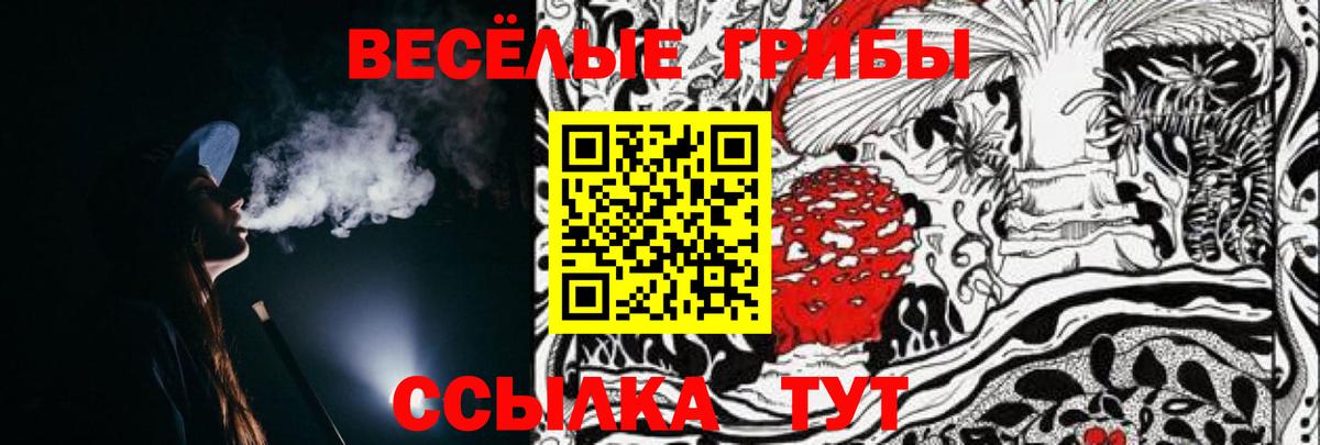 Галлюциногенные грибы Psilocybine cubensis Богородицк